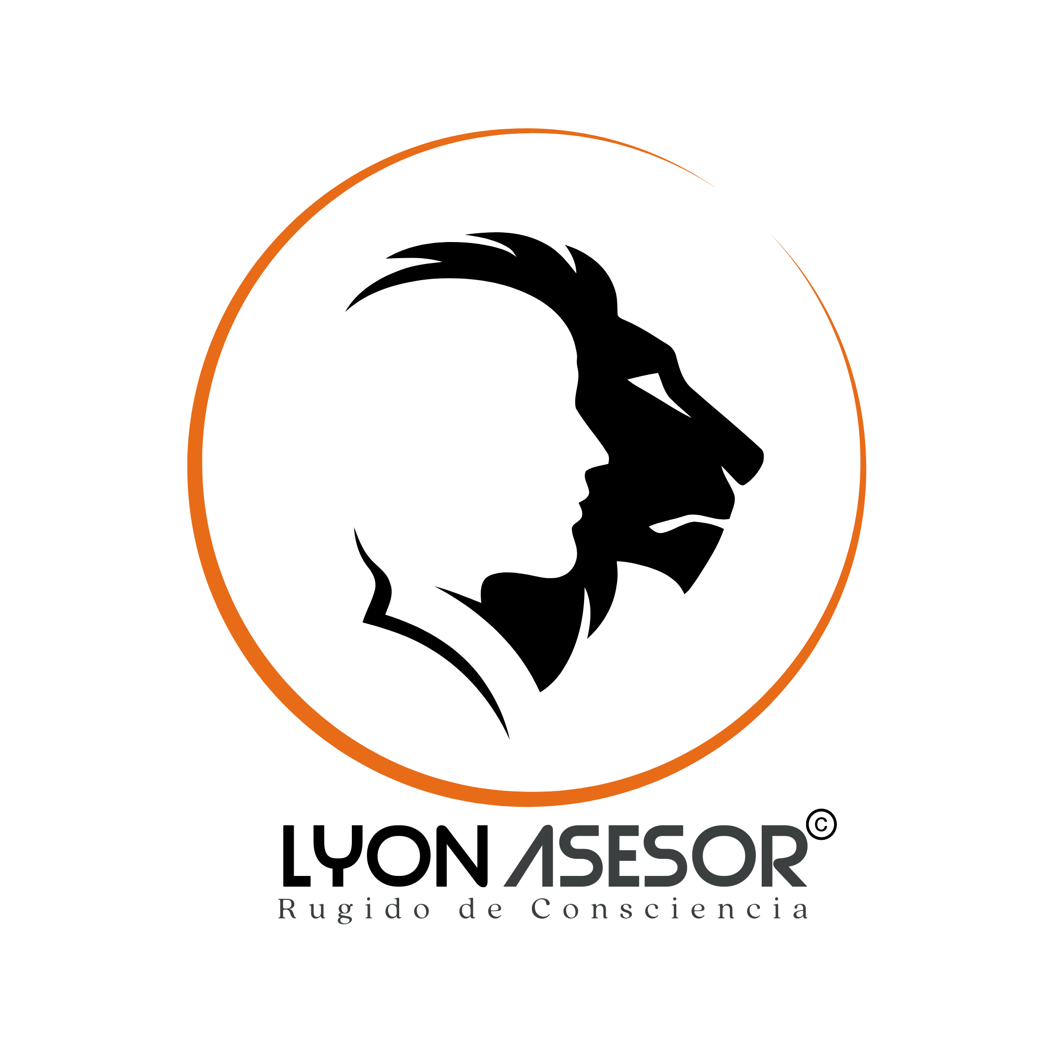 Lyon Asesor - Psicoterapia y Desarrollo Personal